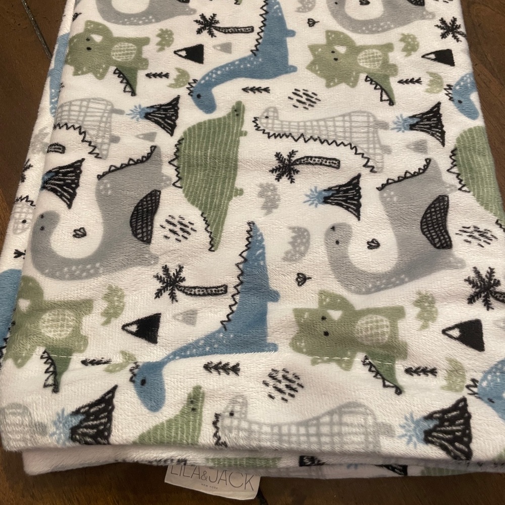 Lila and Jack dinosaur blanket